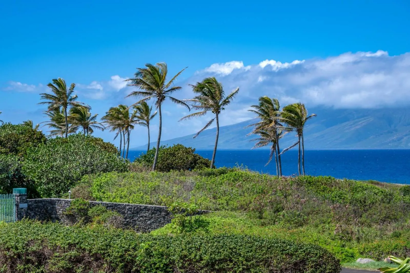Apartment Kbm Resorts Free Car Kapalua Bay Villa Kbv-37B3 Beautifully Remodeled Ocean View United States